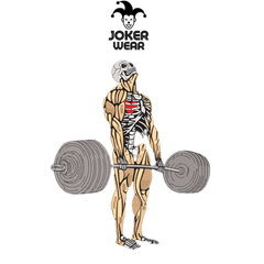 GYM 27-28.